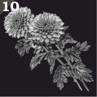 Гравировка цветов ГЦ10