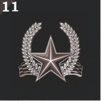 Гравировка военная ГВ11